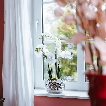 B&B Lindegaarden Kollund